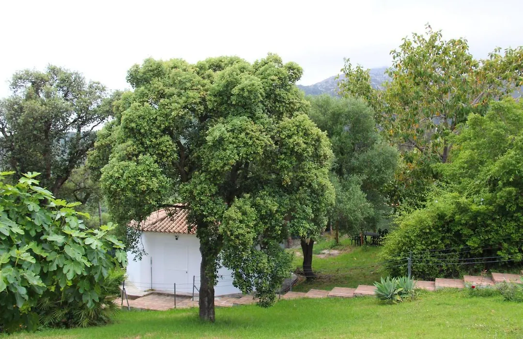 Finca El Campo-1